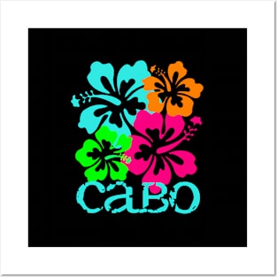 Cabo San Lucas Beach Tropical Posters and Art